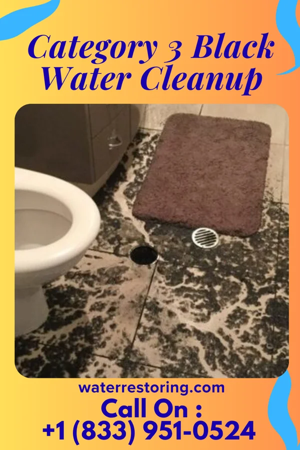 Category 3 Black Water Cleanup in Dash Point, WA