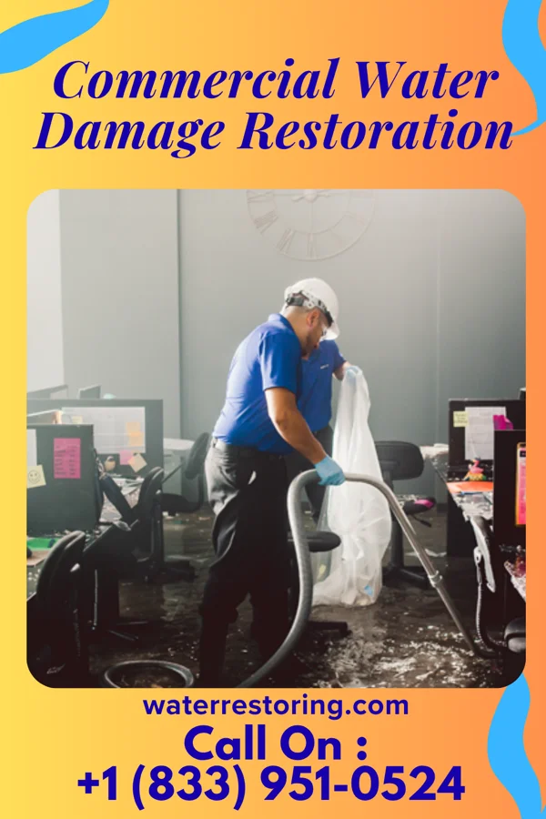 Commercial Water Damage Restoration in Dash Point, WA