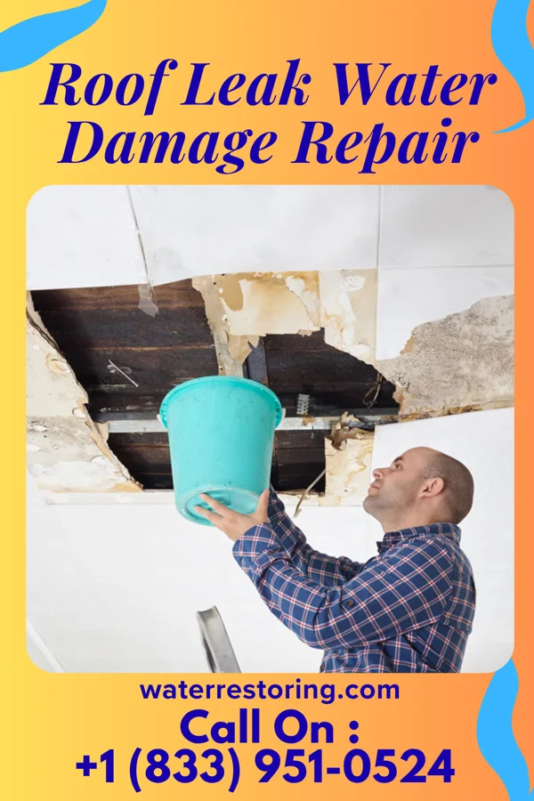 Roof Leak Water Damage Repair in Dash Point, WA